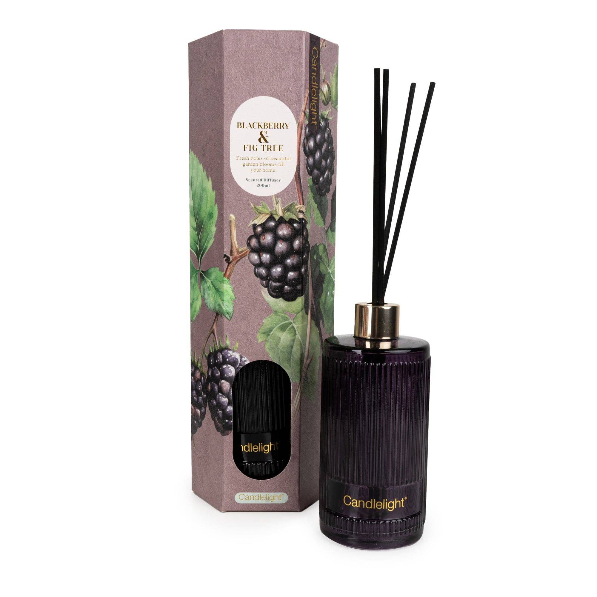 200ml Reed Diffuser - Blackberry & Fig Tree 6PK