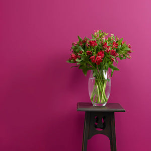 Frenchic Wall Paint - Plum - FREE HOME DELIVERY