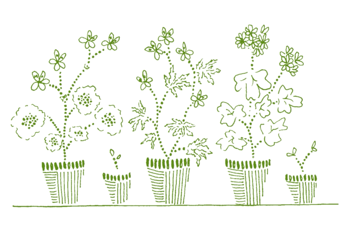 C.Atherley Geranium NO.1 Treat Box Gift Set