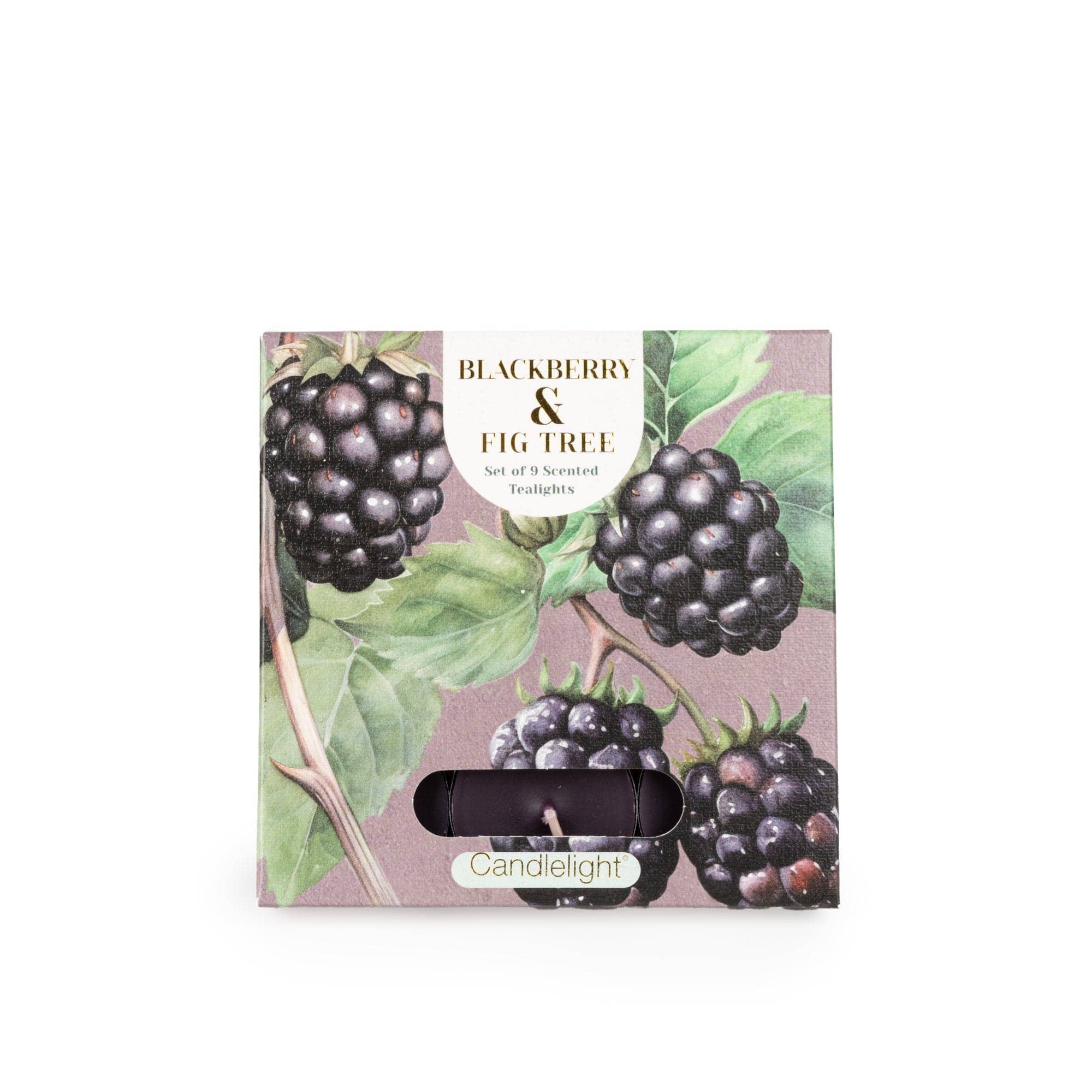 Set of 9 Tealights  -  Blackberry & Fig Tree 6PK