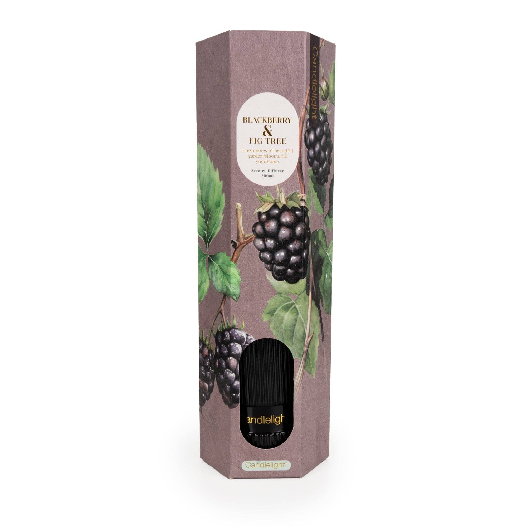 200ml Reed Diffuser - Blackberry & Fig Tree 6PK