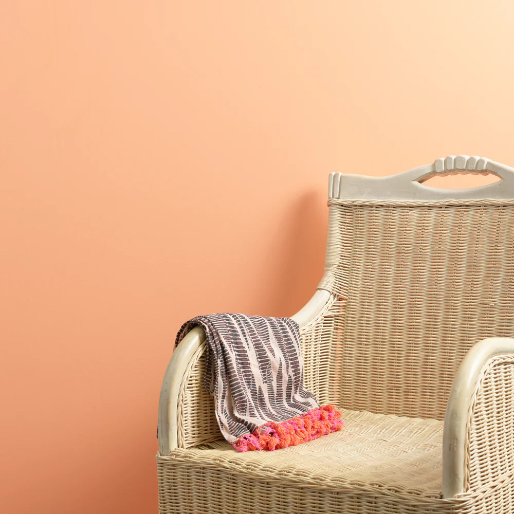 Frenchic Wall Paint - Peach - FREE HOME DELIVERY